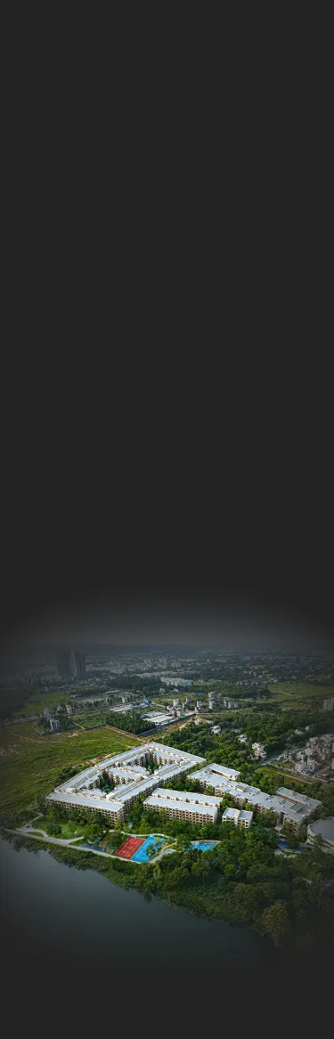 Aerial view of the residences surrounded by greenery and connectivity